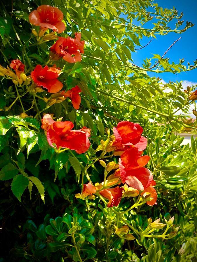 Villa Hylas Luxury Bed & Breakfast Kilada Exterior photo